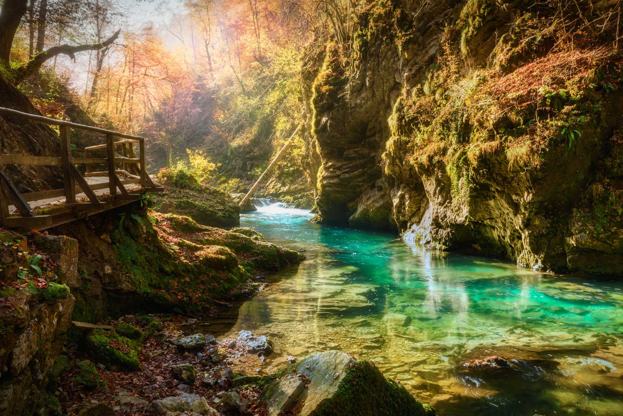 Itinerary stop at Vintgar Gorge on private day trip from Ljubljana
