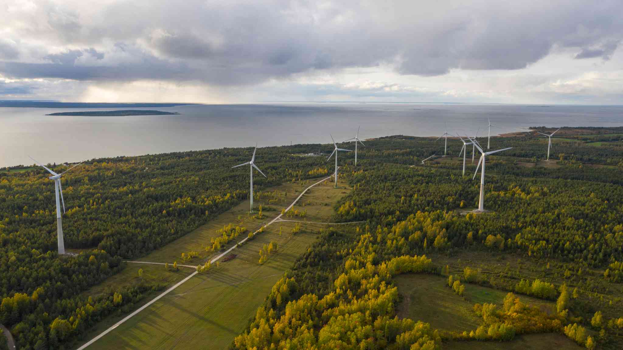 Blick auf die Landschaft von Virtsu - private Tagesreise von Tallinn - Foto 2