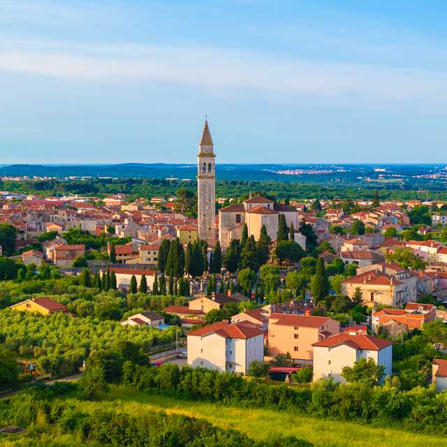 Pula to Vodnjan and Fazana: Private day trip