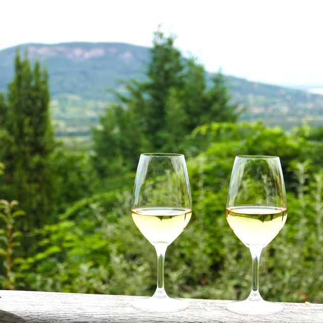 Auckland to Mt Maunganui and Volcanic Hills: Private day trip