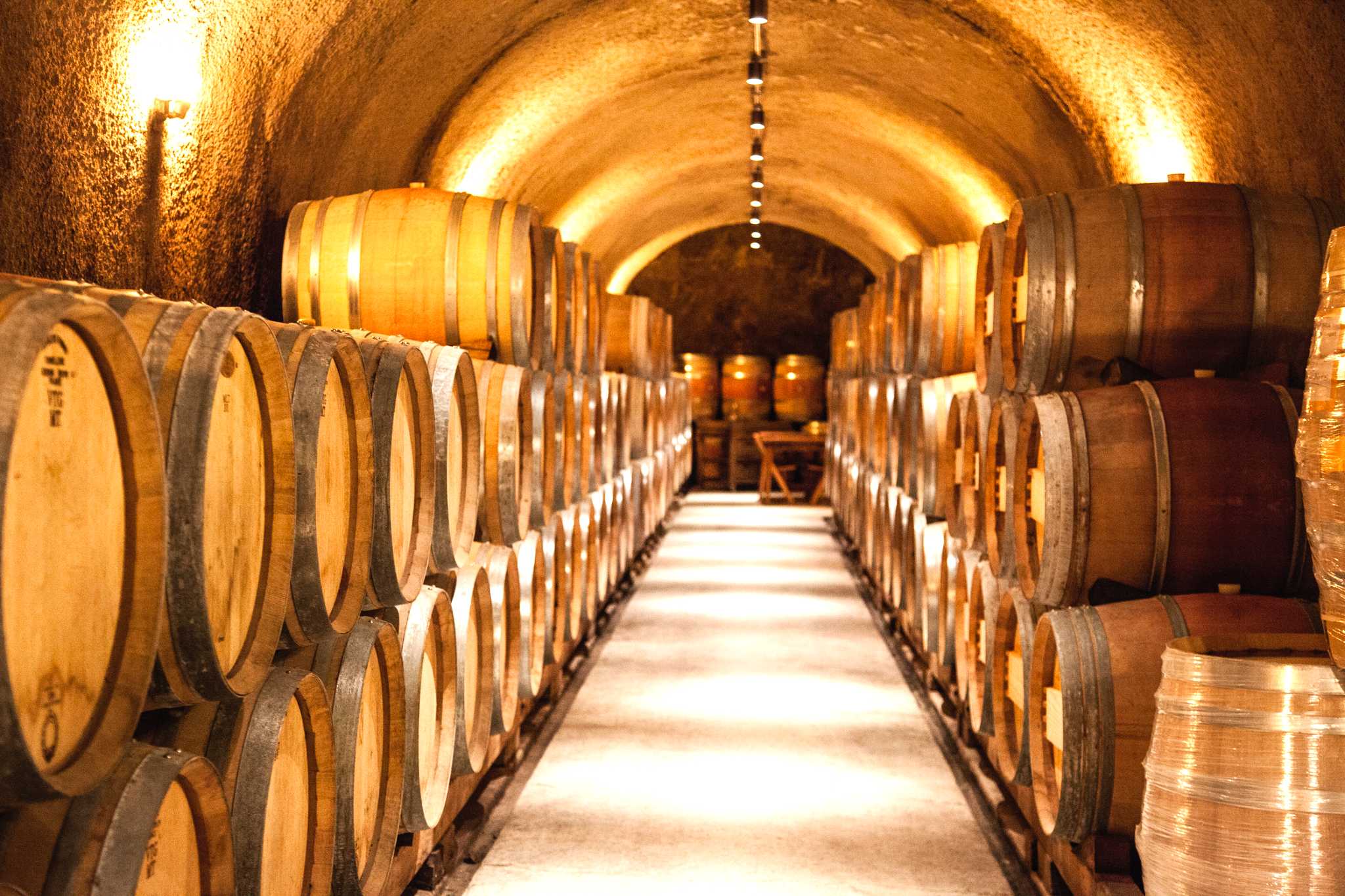 Auckland to Volcanic Hills Winery: Private day trip