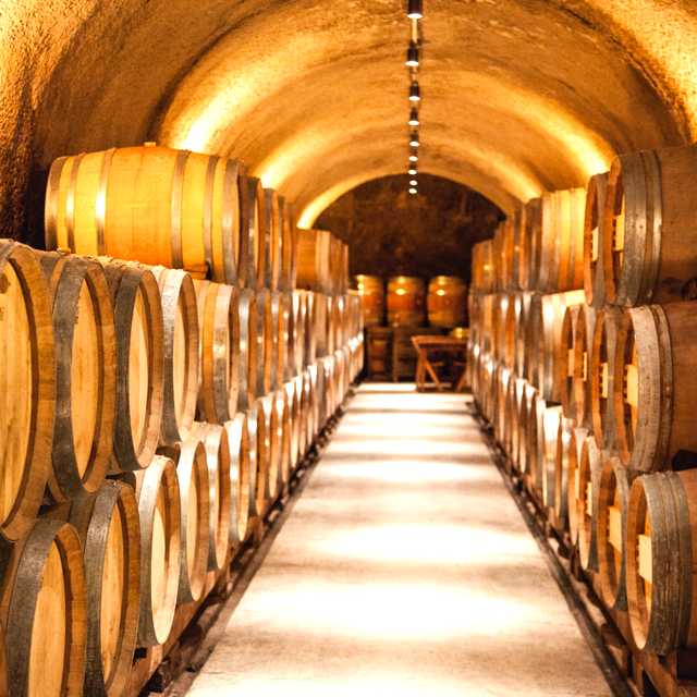 Auckland to Volcanic Hills Winery: Private day trip