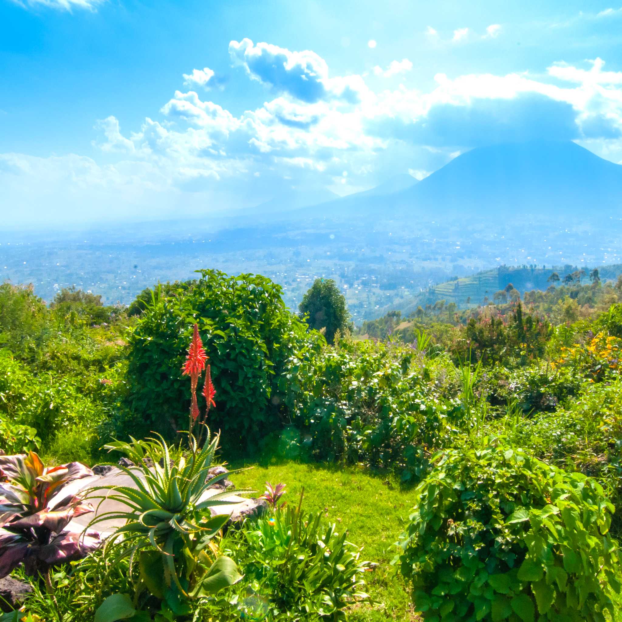 Private car transfers in Rwanda from Volcanos National Park