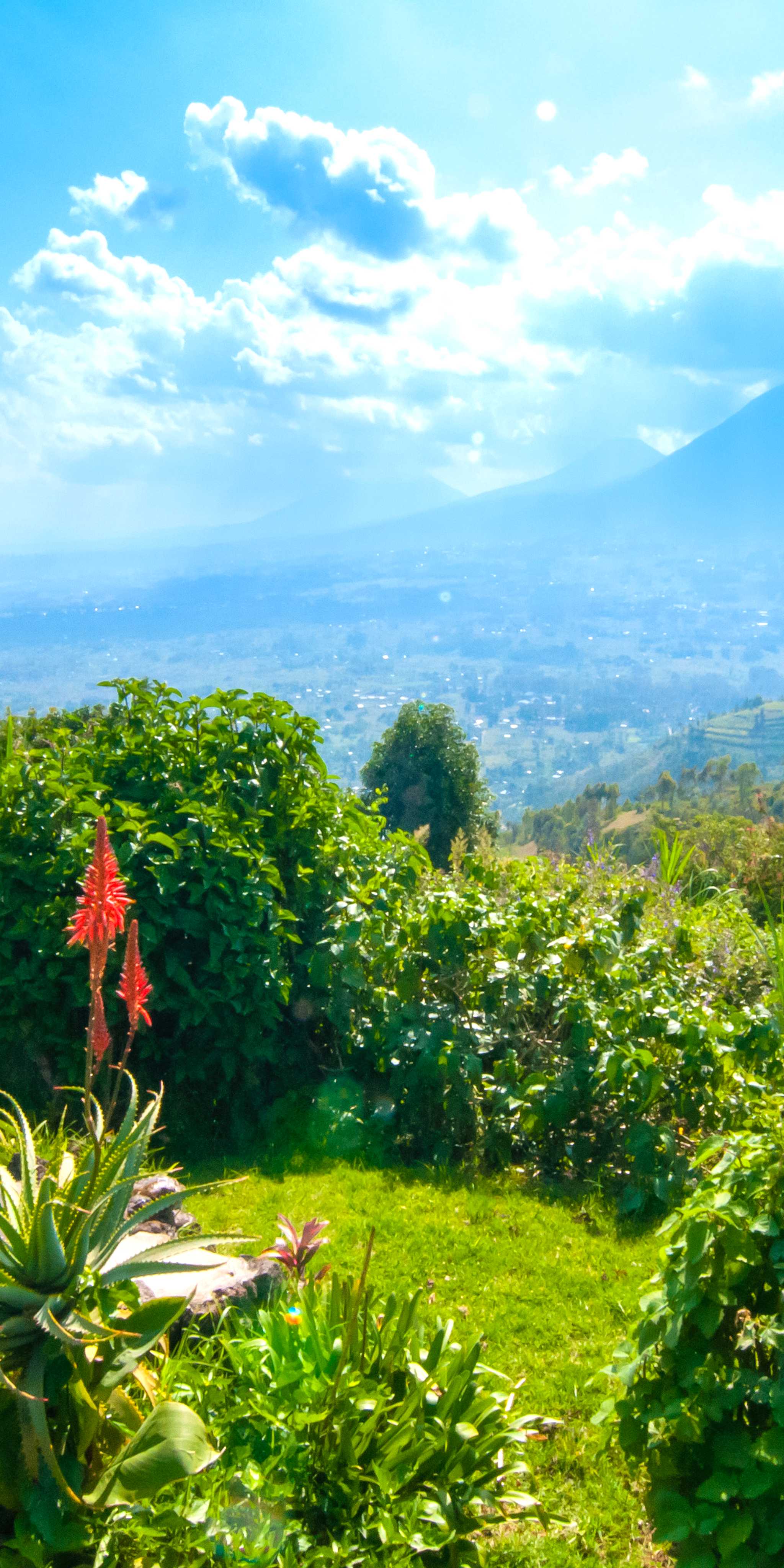 Volcanos National Park