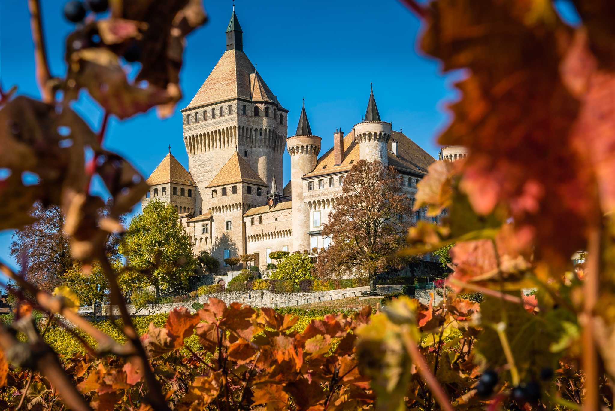 Geneva ์์ ์ถ๋ฐํ๋ ๊ฐ์ธ์ ์ธ ํ๋ฃจ ์ฌํ ์ค Vufflens Castle ์ผ์ ์ ์ง