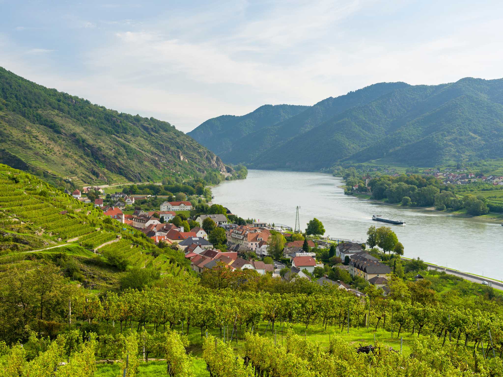 Itinerary stop at Wachau Valley Vineyards on private day trip from Vienna