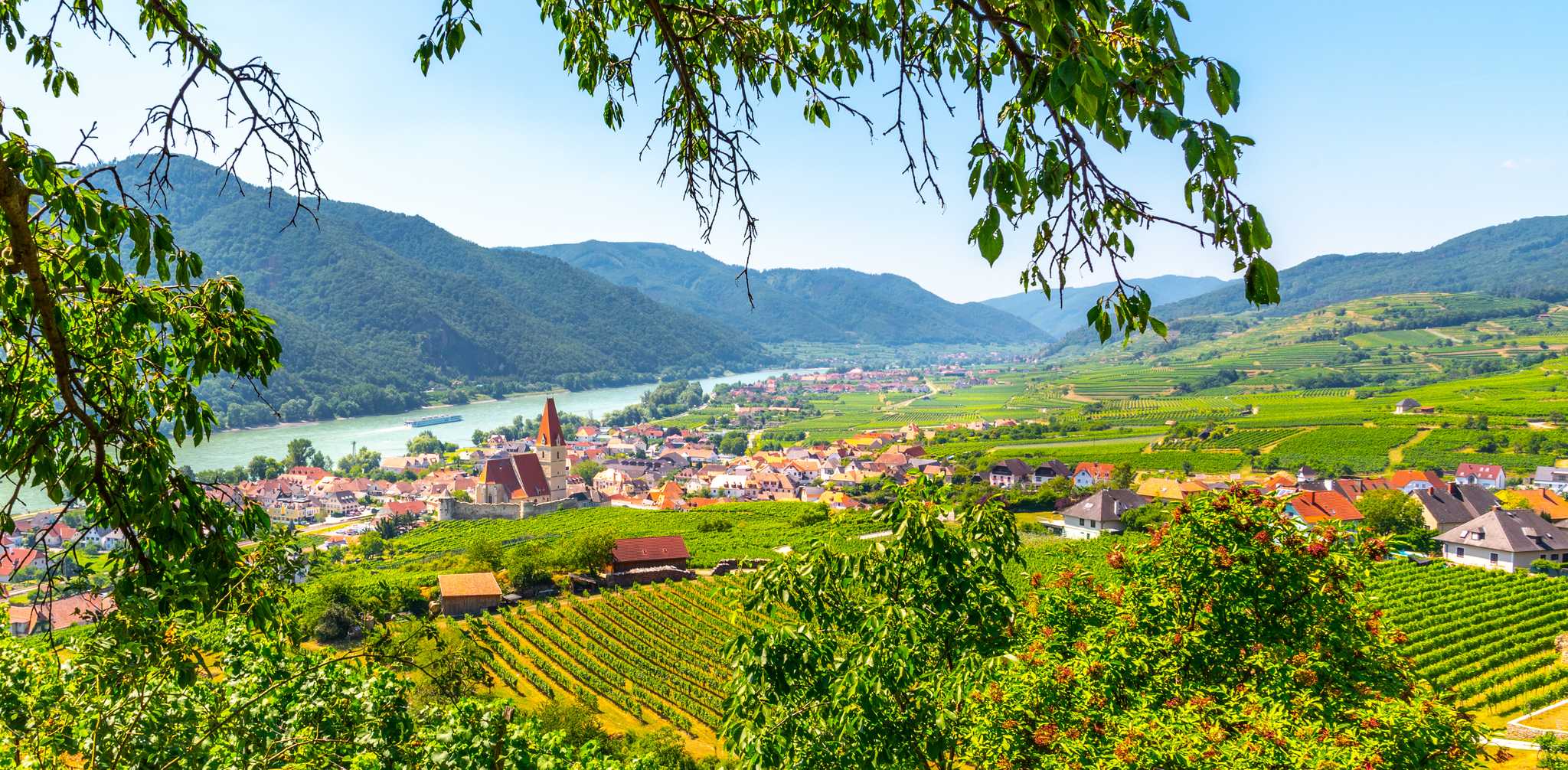 Itinerary stop at Wachau Valley Vineyards on private day trip from Vienna