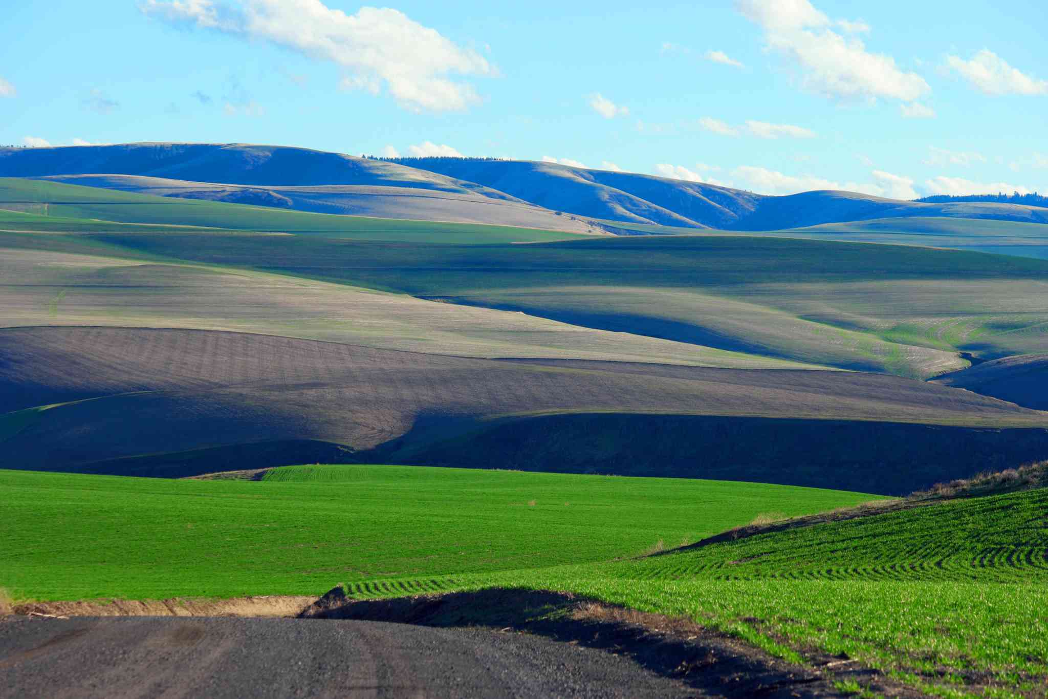 Scenic view of Federal Way - private day trip from Walla Walla - photo 3