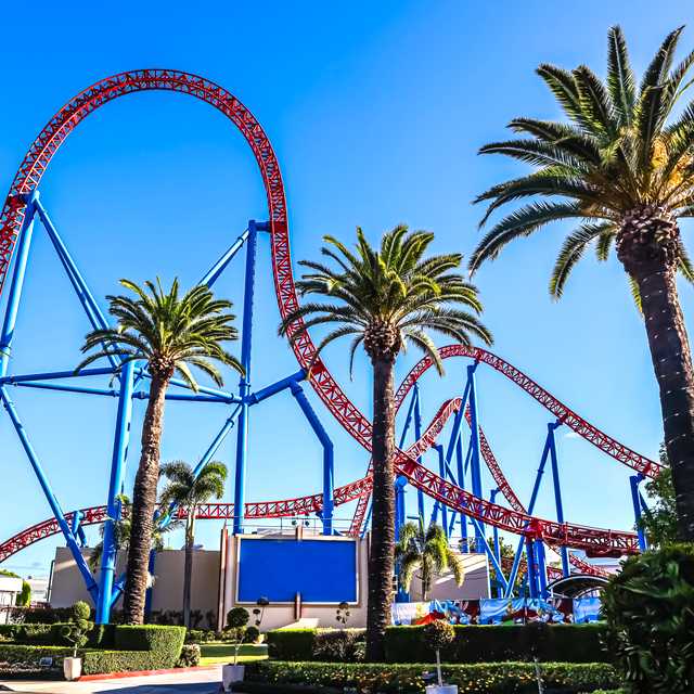 Madrid to Warner Bros. Theme Park: Private day trip