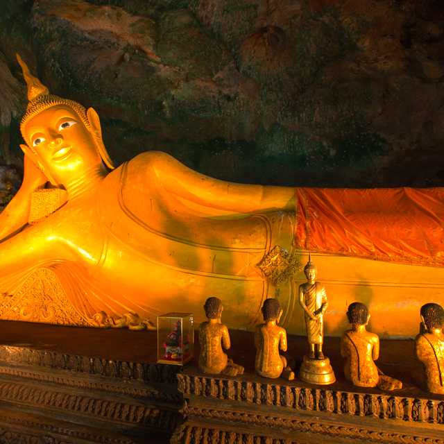 Phuket to Wat Suwan Kuha and Wat Rat Uppatham: Day trip
