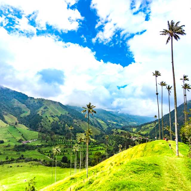 Pereira to Circasia and Quindio: Private day trip