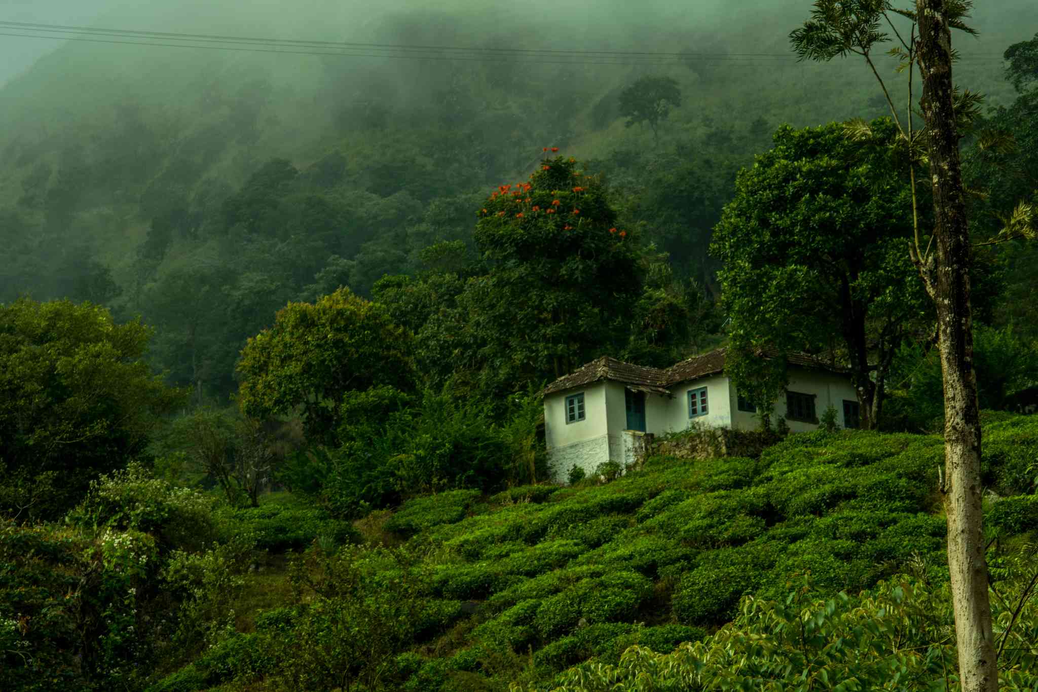 Vue pittoresque de Kochi - excursion privée d'une journée depuis Wayanad - photo 6
