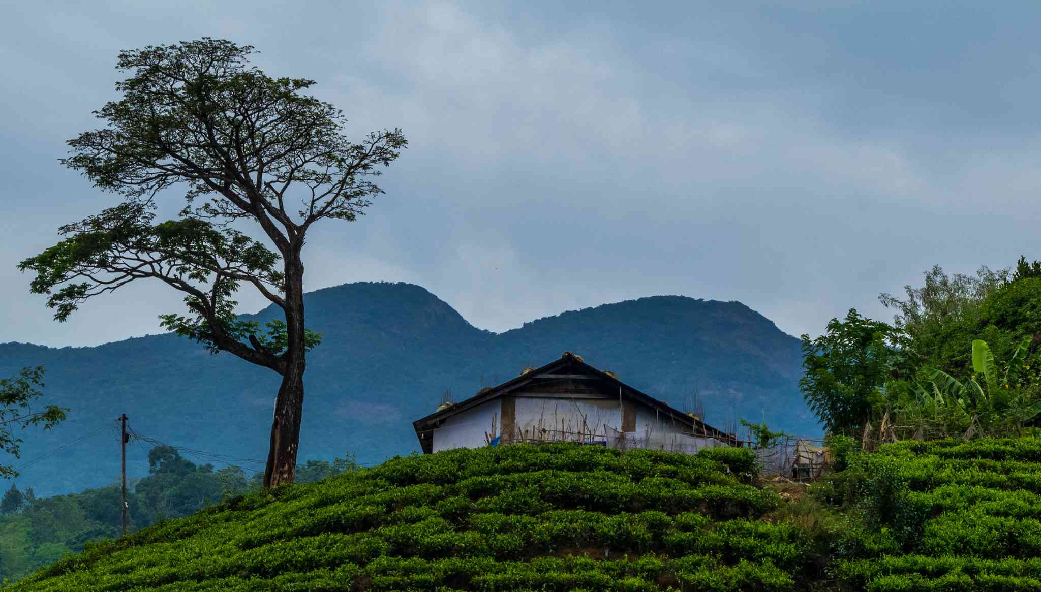 Vue pittoresque de Kochi - excursion privée d'une journée depuis Wayanad - photo 5