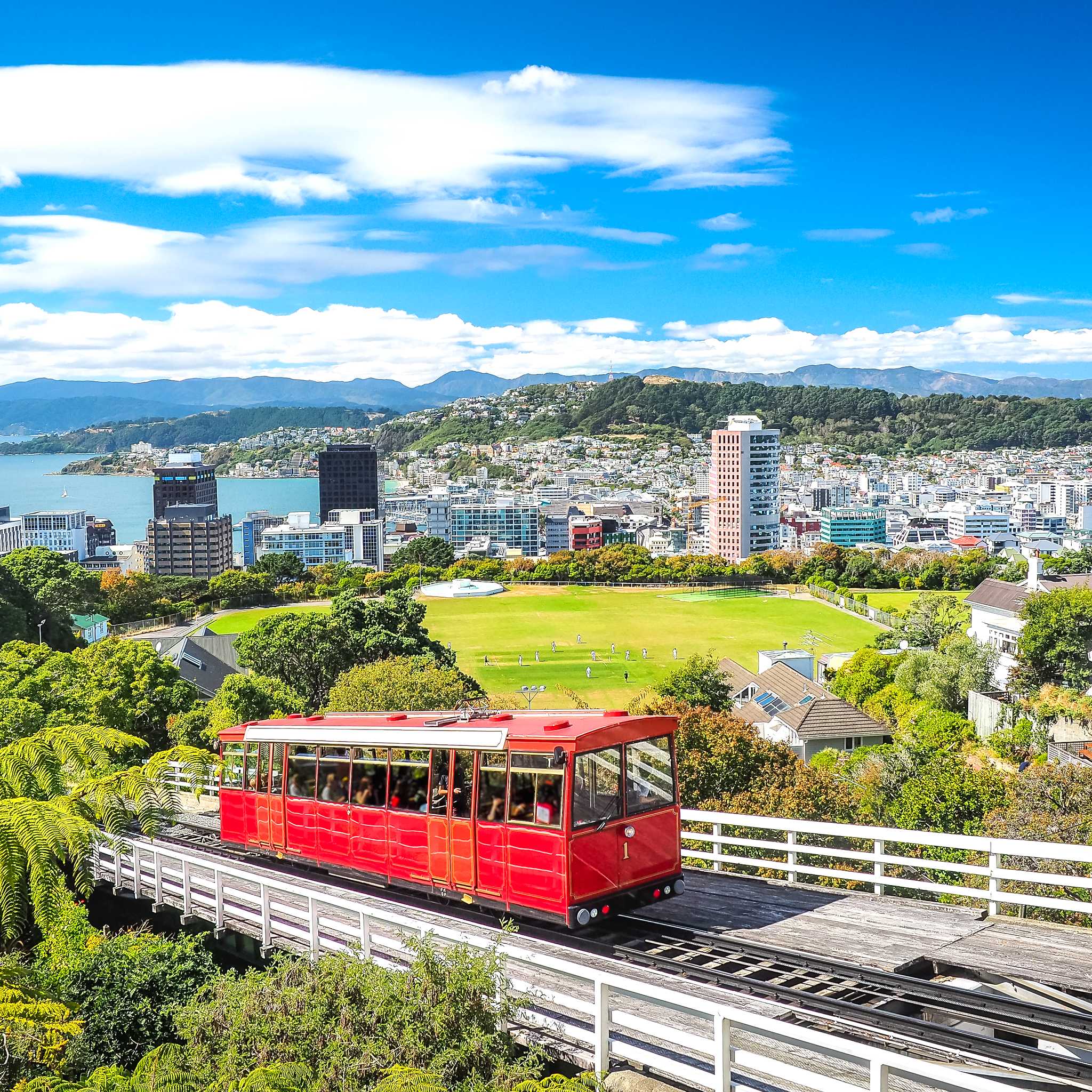 Private car transfers in New Zealand from Wellington