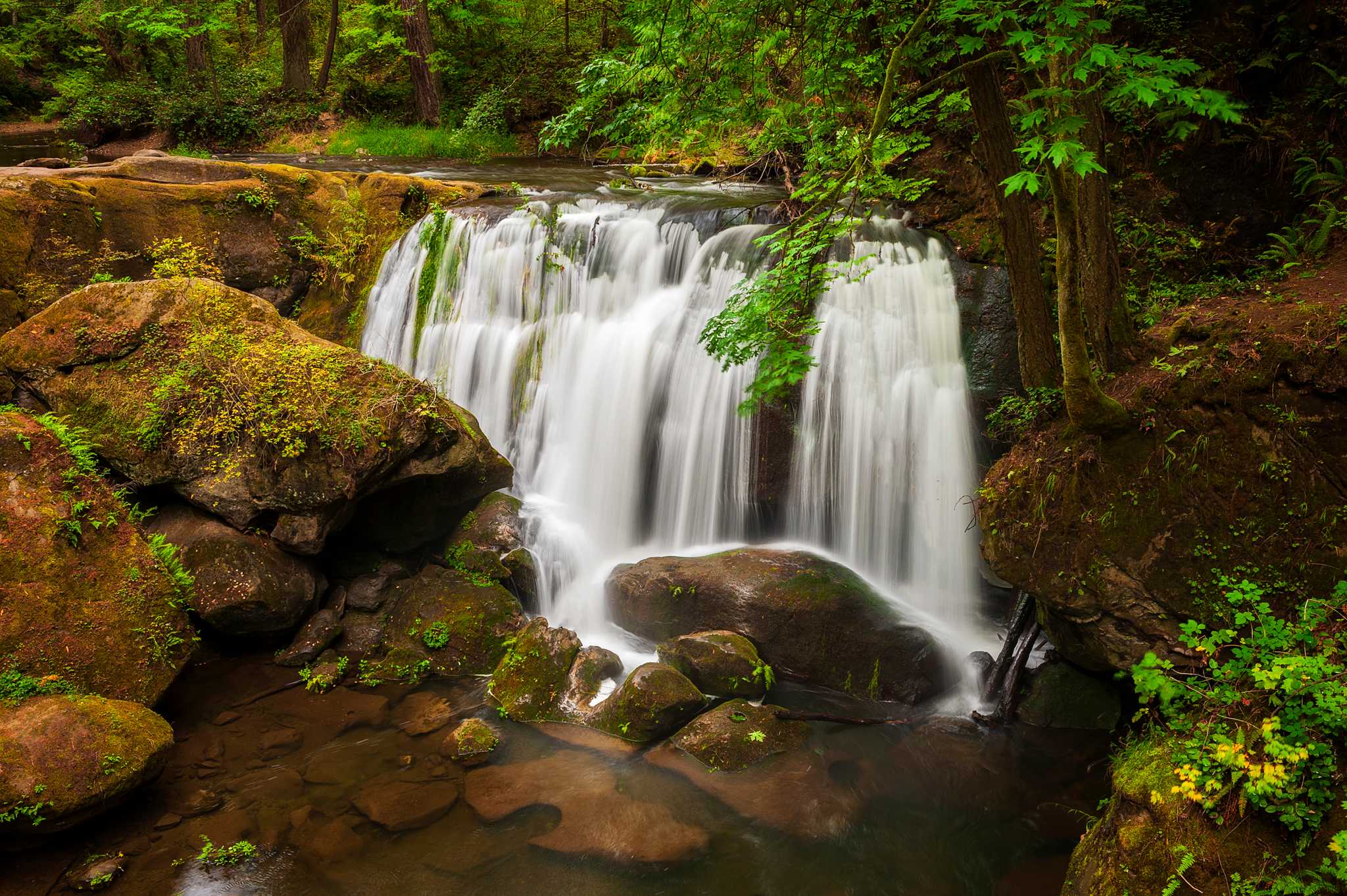 Visit Whatcom Falls Park on the way from vancouver-ca to seattle-wa-us with Daytrip