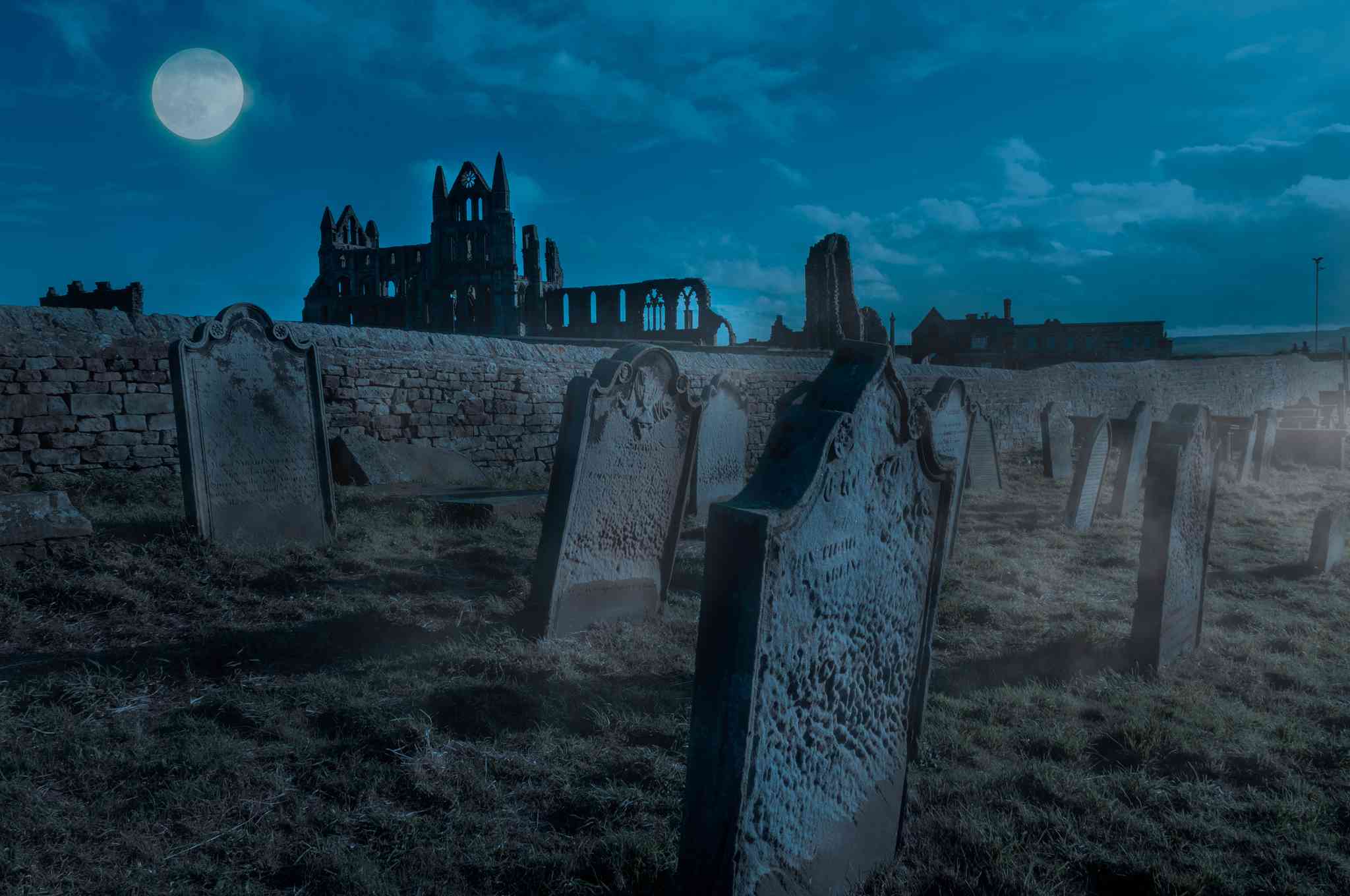 Vue pittoresque de Whitby - excursion privée d'une journée depuis Leeds - photo 4