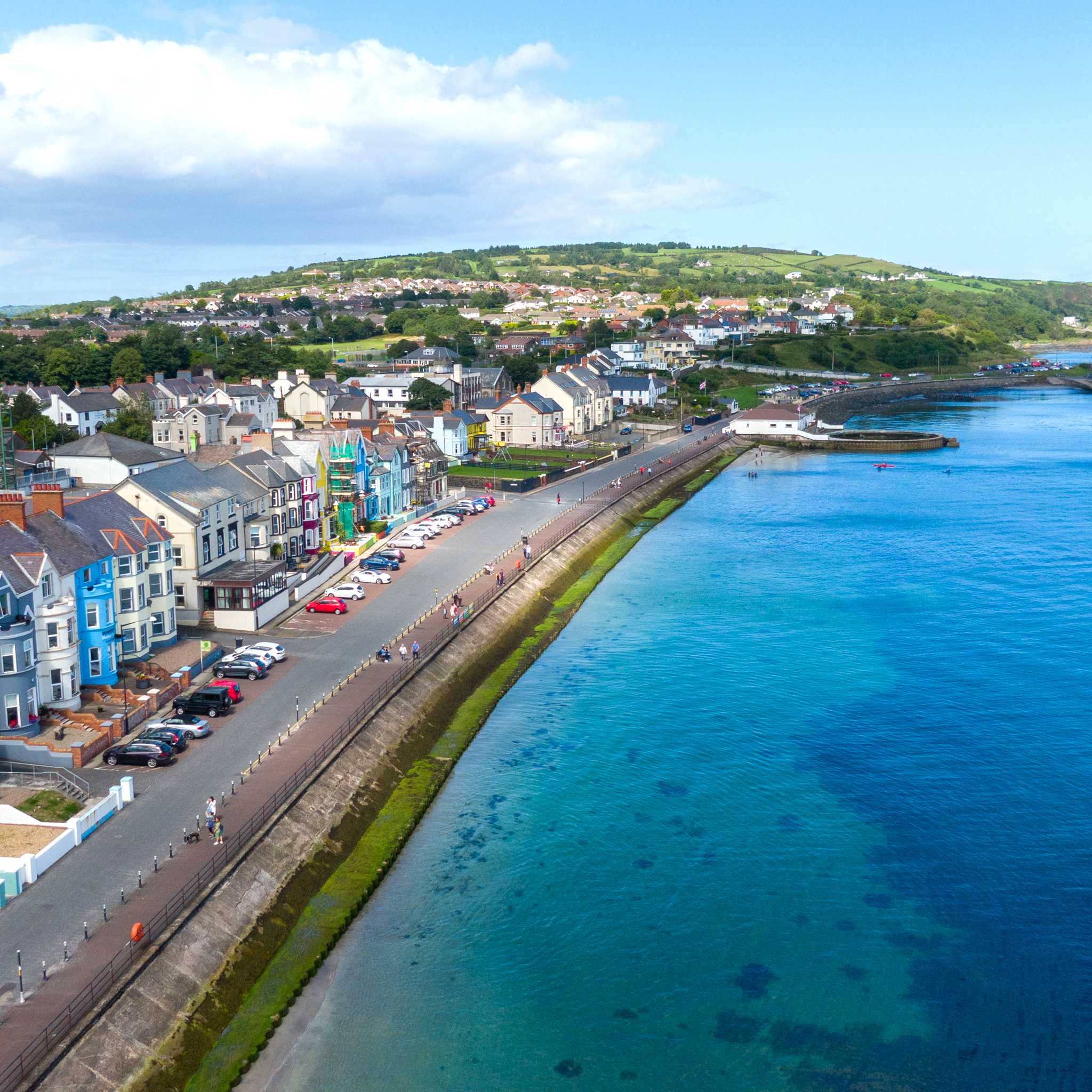 Whitehead