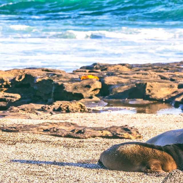 Inspiration de voyages pour Wildlife adventures - Excursions privées d'une journée par Daytrip