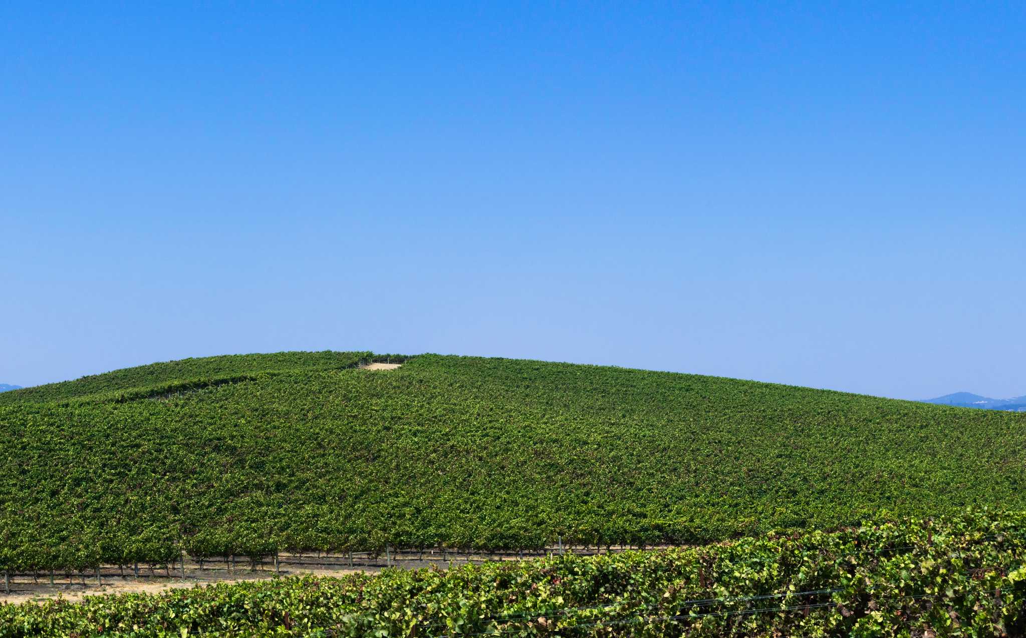 在 从 mountain-view-ca-us 到 mendocino-ca-us 的途中，参观 Windows XP Wallpaper ，通过 Daytrip