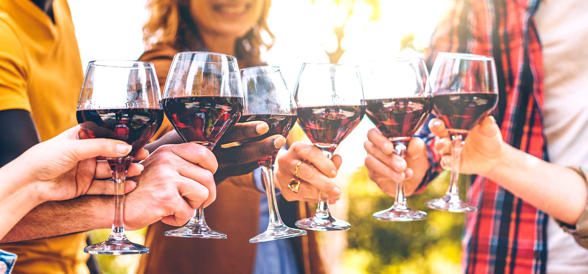 Tailored trips for wine - Private transfers by Daytrip