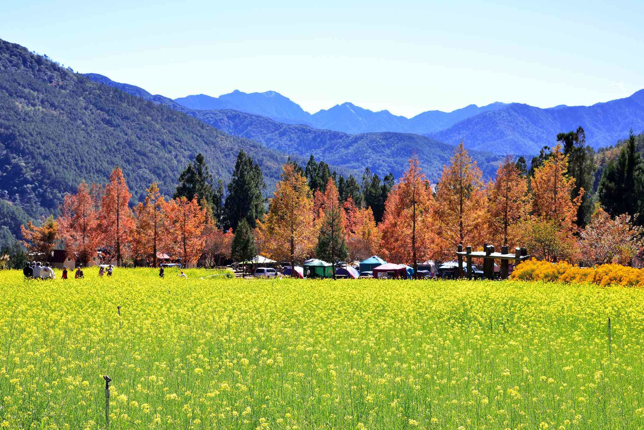 桃园 的风景 - 从 Wuling Farm 出发的私人 一日游 - 照片 7
