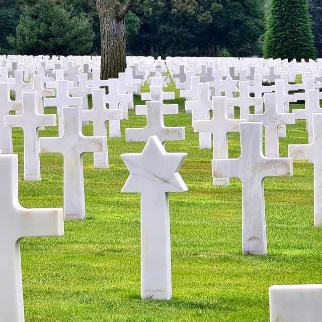 Viajes a medida para Meaningful WWII remembrance day trips - Traslados privados por Daytrip