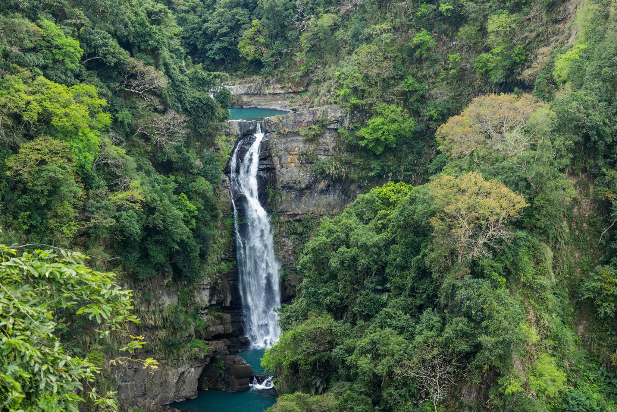 A waterfall cascading down a cliff with a thick green forest on either side.