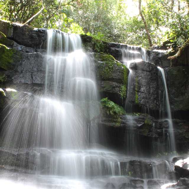 Asuncion to Ybycui Park and Eco Reserva Mbatovi: Day trip