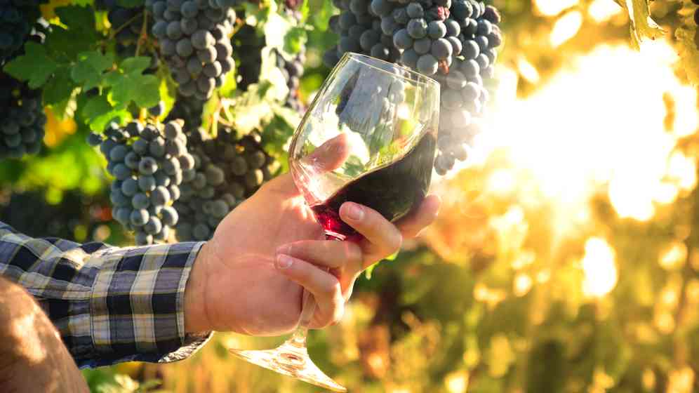 Discover location header image