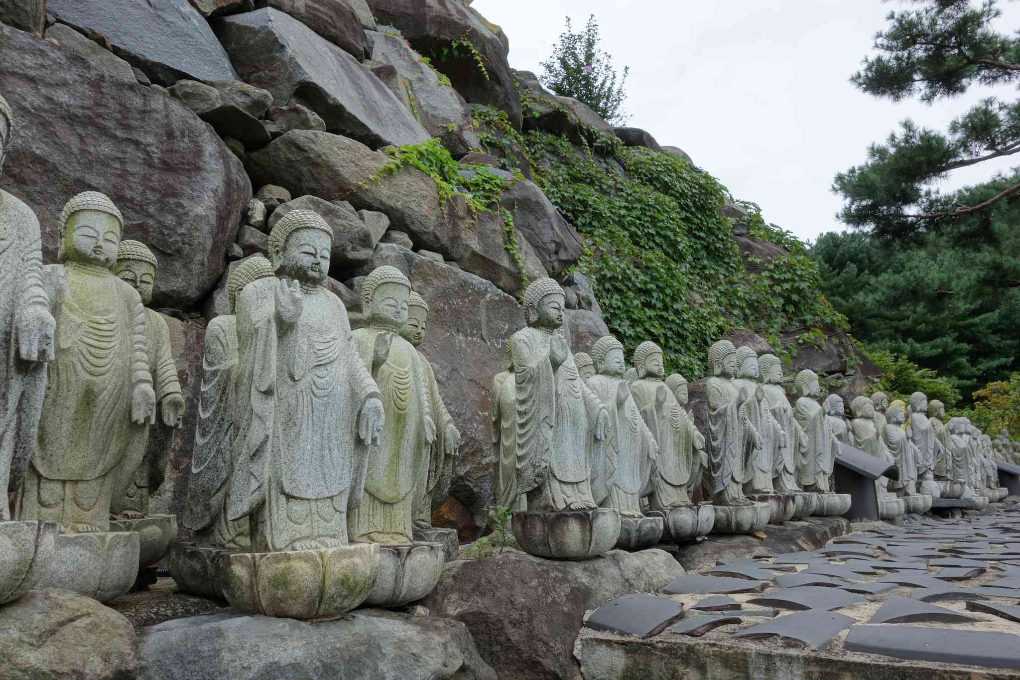 Vista cênica de Incheon - excursão particular de um dia de Yongin - foto 6