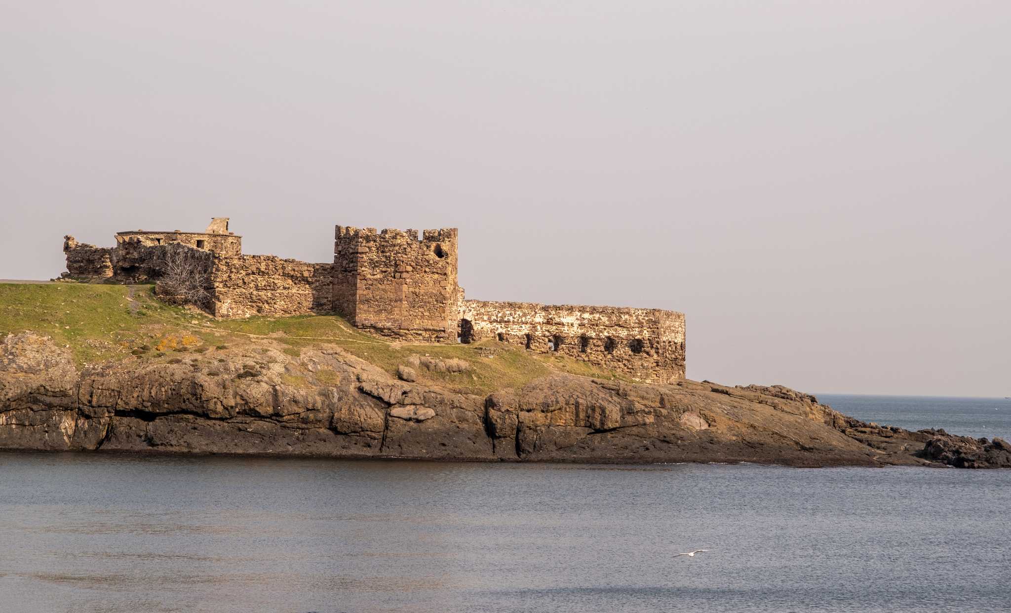 Arrêt de l'itinéraire à Yoros Castle lors d'une excursion privée d'une journée depuis Istanbul
