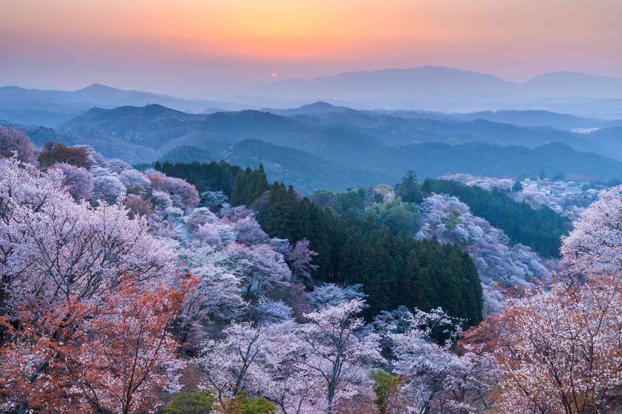 Blick auf die Landschaft von Osaka - private Tagesreise von Yoshino - Foto 11