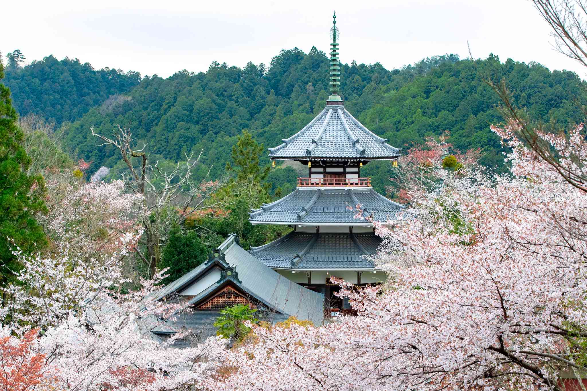 Blick auf die Landschaft von Osaka - private Tagesreise von Yoshino - Foto 10