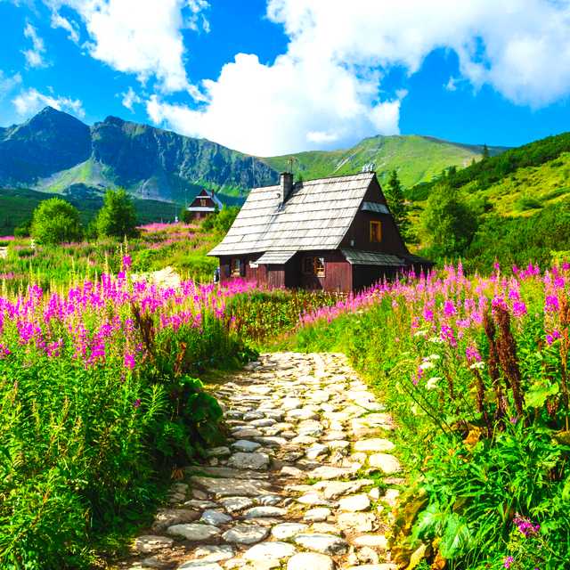 Krakow to Wieliczka Salt Mine and Zakopane: Private day trip