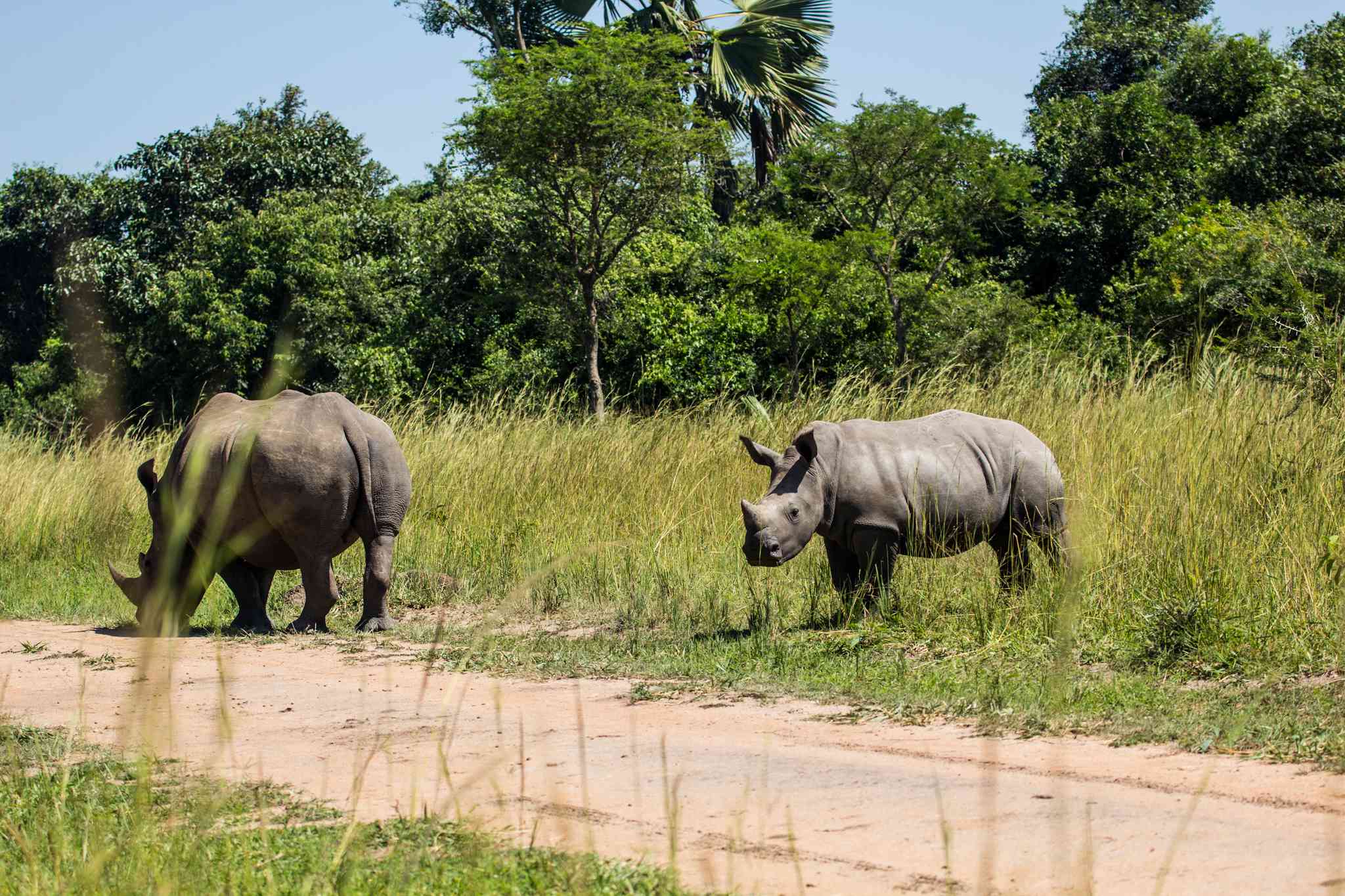 Vista panorámica de Kampala - excursión privada de un día desde Santuario de Rinocerontes de Ziwa - foto 6