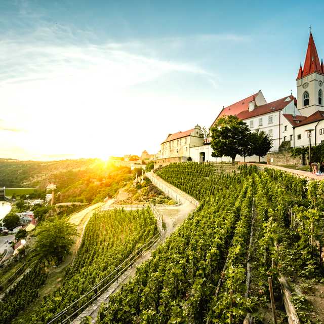 Brno to Znojmo and Mikulov: Private day trip